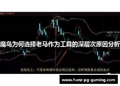 魔鸟为何选择老马作为工具的深层次原因分析 魔鸟为何选择老马作为工具的深层次原因分析